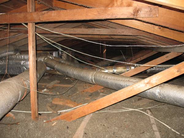 Water damaed and moldy insulation in attic of Florida home